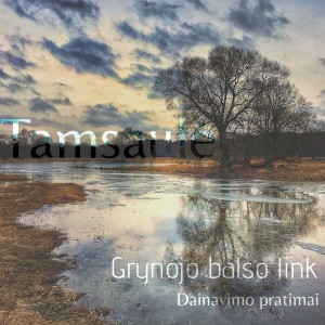 Viršelio nuotraukos autorė - Laura Prascevičiūtė.