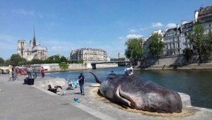 ARTS in Paris nuotr.