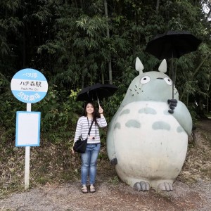Hayao Miyazaki personažas Totoro