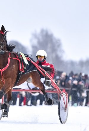 Vasario 1-ąją – tradicinės žirgų lenktynės „Sartai 2020“
